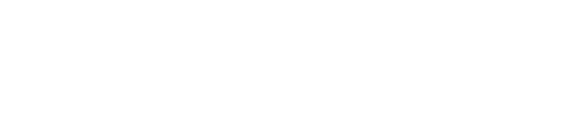 Schaedel Medien